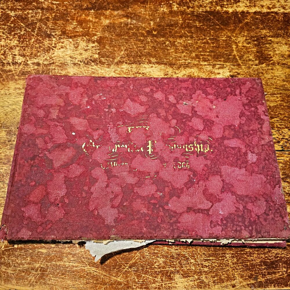 George Becker ORNAMENTAL PENMANSHIP Analytical Alphabets Hardcover Illustrated